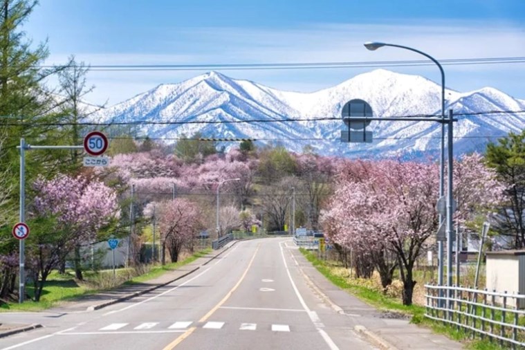 Tour Nhật Bản Bay Thẳng Hokkaido - Sapporo - Otaru - Furano - Asahikawa 6N5D từ Hà Nội